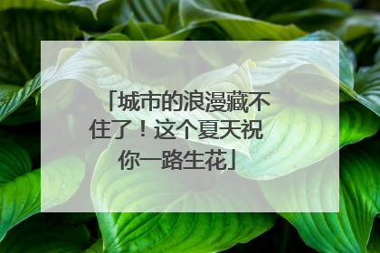 城市的浪漫藏不住了！这个夏天祝你一路生花