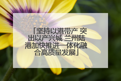 坚持以港带产 突出以产兴城 兰州陆港加快推进一体化融合高质量发展