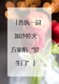 各执一词 加沙停火方案陷“罗生门”