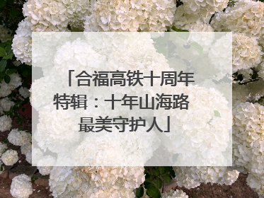 合福高铁十周年特辑：十年山海路 最美守护人
