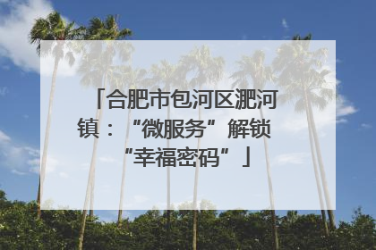 合肥市包河区淝河镇：“微服务”解锁“幸福密码”