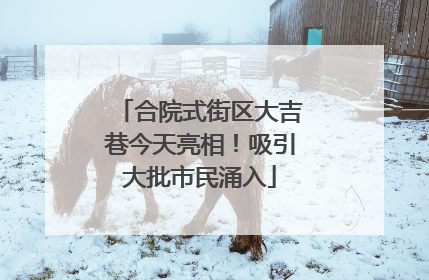 合院式街区大吉巷今天亮相！吸引大批市民涌入