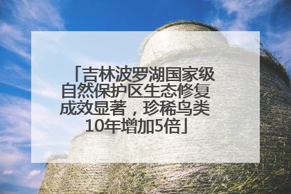 吉林波罗湖国家级自然保护区生态修复成效显著，珍稀鸟类10年增加5倍