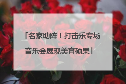 名家助阵！打击乐专场音乐会展现美育硕果