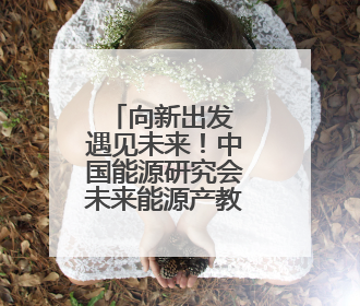 向新出发 遇见未来！中国能源研究会未来能源产教融合专委会和太行先进储能技术研究院在保定成立