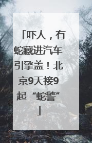 吓人，有蛇藏进汽车引擎盖！北京9天接9起“蛇警”