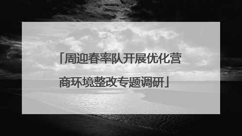周迎春率队开展优化营商环境整改专题调研