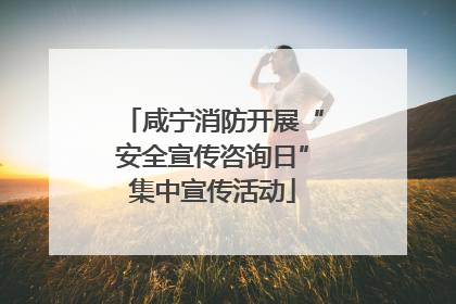 咸宁消防开展“安全宣传咨询日”集中宣传活动