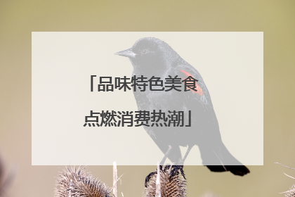 品味特色美食 点燃消费热潮