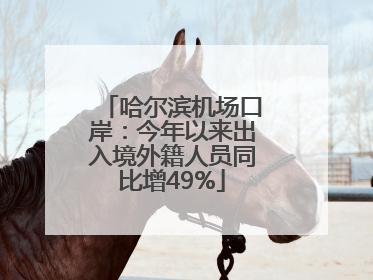 哈尔滨机场口岸：今年以来出入境外籍人员同比增49%