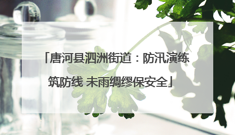 唐河县泗洲街道：防汛演练筑防线 未雨绸缪保安全