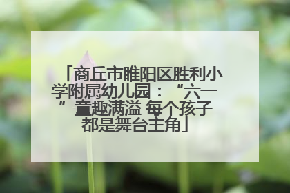 商丘市睢阳区胜利小学附属幼儿园：“六一”童趣满溢 每个孩子都是舞台主角