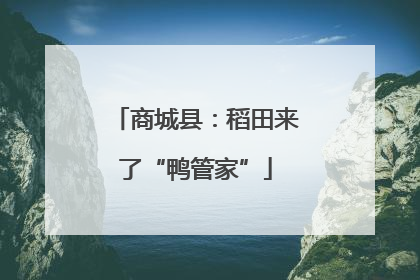 商城县：稻田来了“鸭管家”