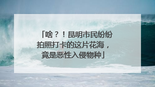 啥？！昆明市民纷纷拍照打卡的这片花海，竟是恶性入侵物种