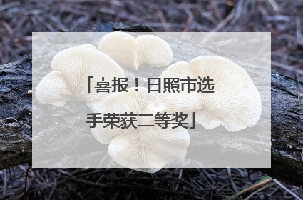 喜报！日照市选手荣获二等奖
