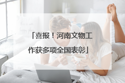 喜报！河南文物工作获多项全国表彰