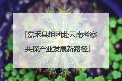 嘉禾县组团赴云南考察 共探产业发展新路径