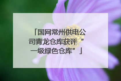 国网常州供电公司青龙仓库获评“一级绿色仓库”