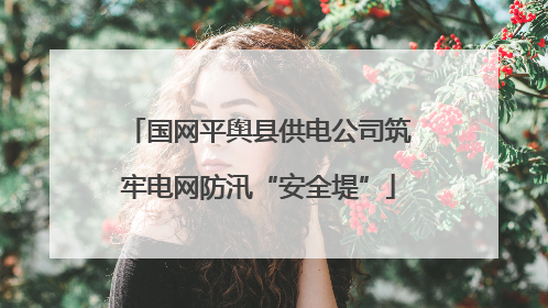 国网平舆县供电公司筑牢电网防汛“安全堤”