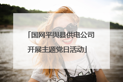 国网平舆县供电公司开展主题党日活动