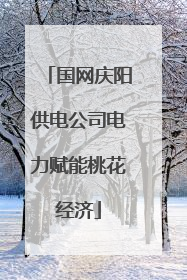 国网庆阳供电公司电力赋能桃花经济