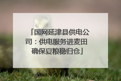 国网延津县供电公司：供电服务进麦田 确保夏粮稳归仓