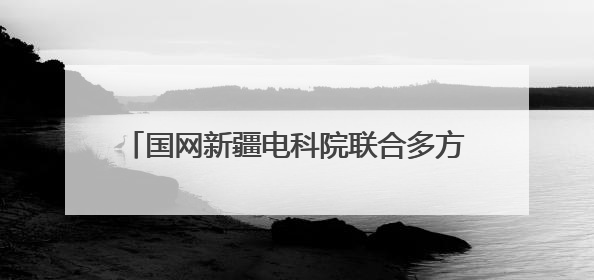 国网新疆电科院联合多方开展“爱鸟护线”科普交流活动 共筑鸟类友好城市