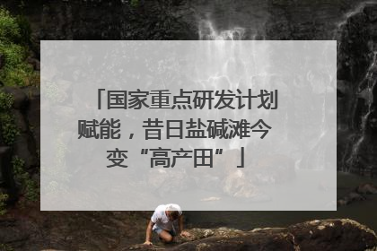 国家重点研发计划赋能，昔日盐碱滩今变“高产田”