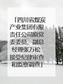 四川省煤炭产业集团有限责任公司原党委委员、副总经理张万松 接受纪律审查和监察调查