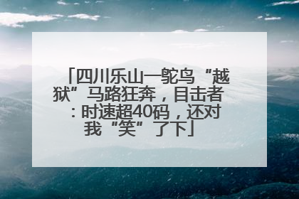四川乐山一鸵鸟“越狱”马路狂奔，目击者：时速超40码，还对我“笑”了下