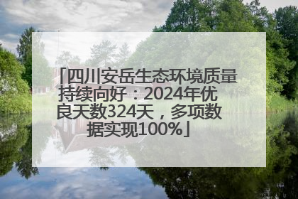 四川安岳生态环境质量持续向好：2024年优良天数324天，多项数据实现100%