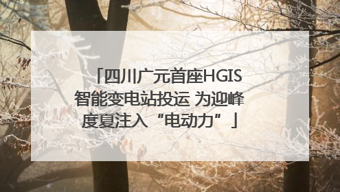 四川广元首座HGIS智能变电站投运 为迎峰度夏注入“电动力”