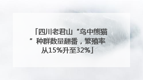 四川老君山“鸟中熊猫”种群数量翻番，繁殖率从15%升至32%
