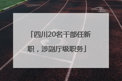 四川20名干部任新职，涉副厅级职务