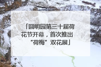 圆明园第三十届荷花节开幕，首次推出“荷梅”双花展
