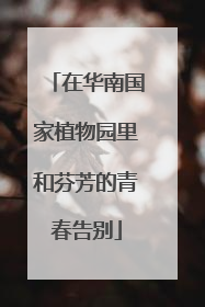 在华南国家植物园里和芬芳的青春告别