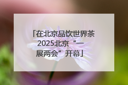 在北京品饮世界茶 2025北京“一展两会”开幕
