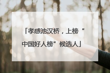 孝感池汉桥，上榜“中国好人榜”候选人
