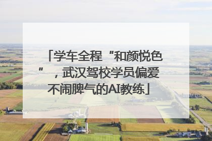 学车全程“和颜悦色”，武汉驾校学员偏爱不闹脾气的AI教练