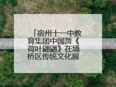 宿州十一中教育集团中国舞《荷叶翩翩》在埇桥区传统文化展演中大放异彩