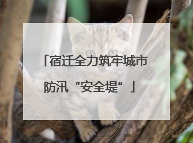 宿迁全力筑牢城市防汛“安全堤”