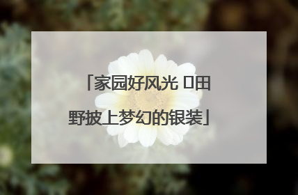 家园好风光 ⎮田野披上梦幻的银装