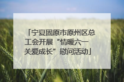 宁夏固原市原州区总工会开展“情暖六一 关爱成长”慰问活动