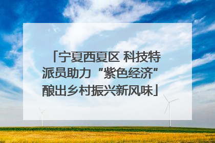 宁夏西夏区 科技特派员助力“紫色经济”酿出乡村振兴新风味
