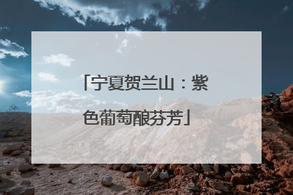 宁夏贺兰山：紫色葡萄酿芬芳