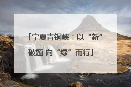宁夏青铜峡：以“新”破题 向“绿”而行