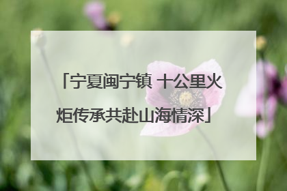 宁夏闽宁镇 十公里火炬传承共赴山海情深