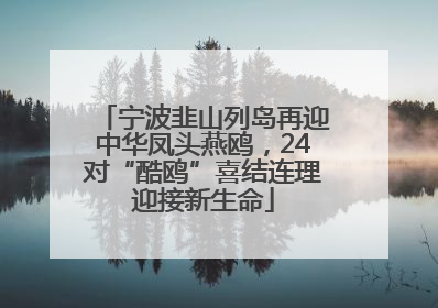 宁波韭山列岛再迎中华凤头燕鸥，24对“酷鸥”喜结连理迎接新生命