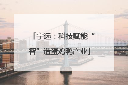 宁远：科技赋能“智”造蛋鸡鸭产业