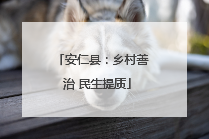 安仁县：乡村善治 民生提质